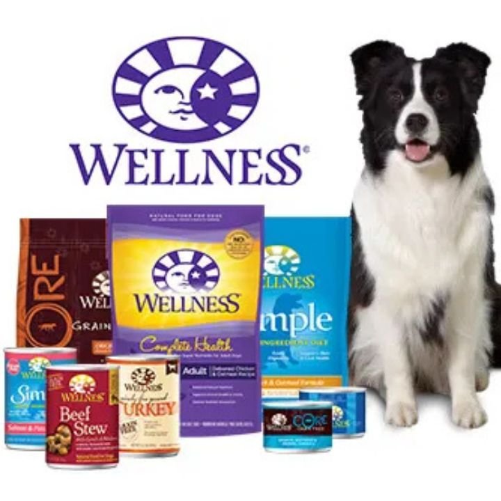 Is Wellness Dog Food Good